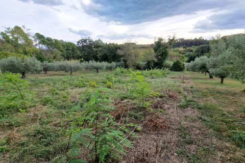 Terra a Pescara, Pescara, Pescara - € 14.000 | Ref: 83321508 - foto 7