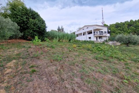 Terra a Pescara, Pescara, Pescara - € 14.000 | Ref: 83321508 - foto 8