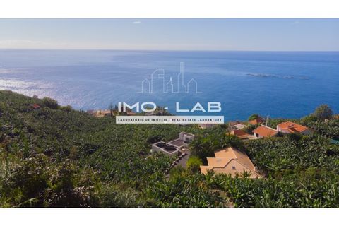 Helårsgrund i Arco da Calheta, Madeira, Arco da Calheta - € 550.000 | Ref: TER_170 - foto 3