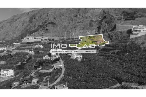Helårsgrund i Arco da Calheta, Madeira, Arco da Calheta - € 550.000 | Ref: TER_170 - foto 4