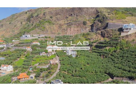 Helårsgrund i Arco da Calheta, Madeira, Arco da Calheta - € 550.000 | Ref: TER_170 - foto 5