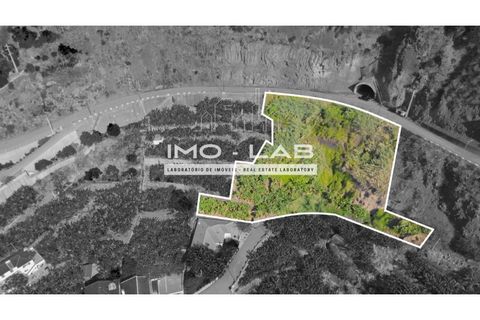 Helårsgrund i Arco da Calheta, Madeira, Arco da Calheta - € 550.000 | Ref: TER_170 - foto 6