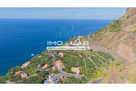 Helårsgrund i Arco da Calheta, Madeira, Arco da Calheta - € 550.000 | Ref: TER_170 - foto 7