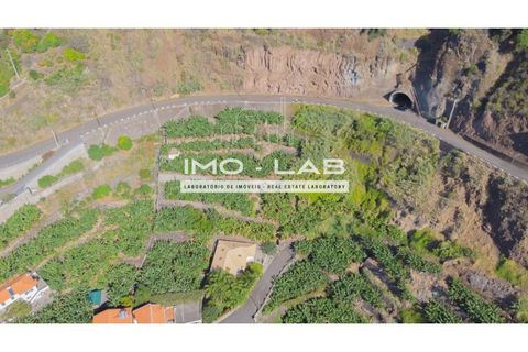 Helårsgrund i Arco da Calheta, Madeira, Arco da Calheta - € 550.000 | Ref: TER_170 - foto 8