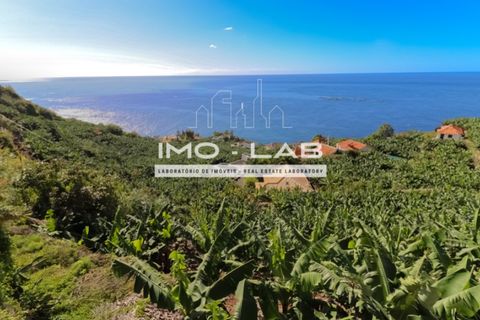Helårsgrund i Arco da Calheta, Madeira, Arco da Calheta - € 550.000 | Ref: TER_170 - foto 10