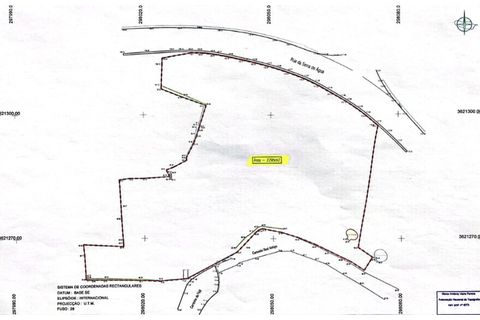 Helårsgrund i Arco da Calheta, Madeira, Arco da Calheta - € 550.000 | Ref: TER_170 - foto 11