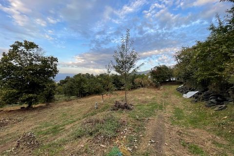 Helårsgrund i Ponte da Barca, Viana do Castelo, Ponte da Barca - € 55.000 | Ref: PTL-004-066 - foto 2