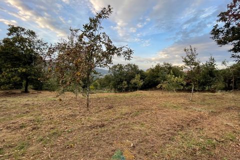 Helårsgrund i Ponte da Barca, Viana do Castelo, Ponte da Barca - € 55.000 | Ref: PTL-004-066 - foto 3