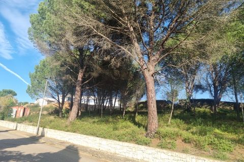 Terra a Constancia, Santarem, Constancia - € 10.000 | Ref: 23-IV-0107 - foto 3
