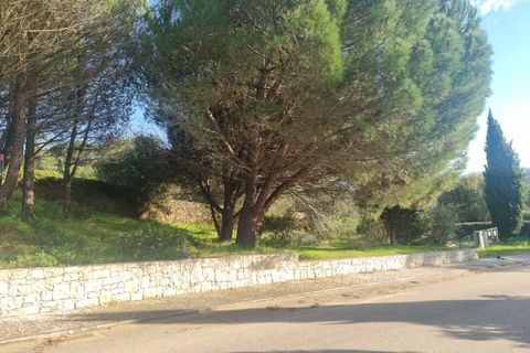 Terra a Constancia, Santarem, Constancia - € 10.000 | Ref: 23-IV-0107 - foto 4