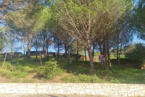 Terra a Constancia, Santarem, Constancia - € 10.000 | Ref: 23-IV-0107 - foto 5