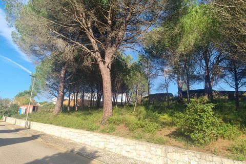 Terra a Constancia, Santarem, Constancia - € 10.000 | Ref: 23-IV-0107 - foto 6