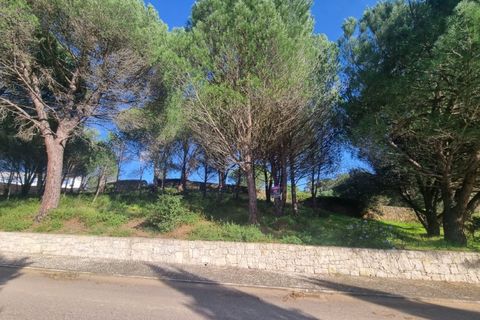 Terra a Constancia, Santarem, Constancia - € 10.000 | Ref: 23-IV-0107 - foto 7