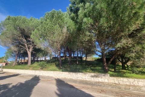 Terra a Constancia, Santarem, Constancia - € 10.000 | Ref: 23-IV-0107 - foto 8