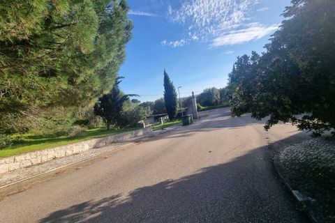 Terra a Constancia, Santarem, Constancia - € 10.000 | Ref: 23-IV-0107 - foto 9