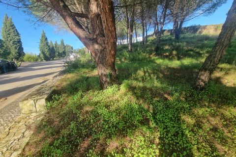 Terra a Constancia, Santarem, Constancia - € 10.000 | Ref: 23-IV-0107 - foto 10