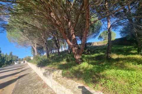 Terra a Constancia, Santarem, Constancia - € 10.000 | Ref: 23-IV-0107 - foto 11