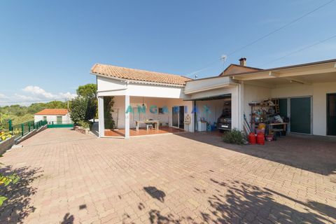 Villa a Soure, Coimbra, Soure - € 300.000 | Ref: ANG906 - foto 6