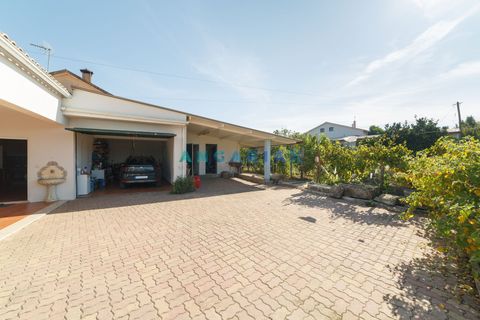 Villa a Soure, Coimbra, Soure - € 300.000 | Ref: ANG906 - foto 9
