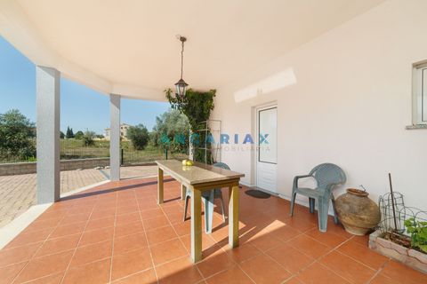 Villa a Soure, Coimbra, Soure - € 300.000 | Ref: ANG906 - foto 10