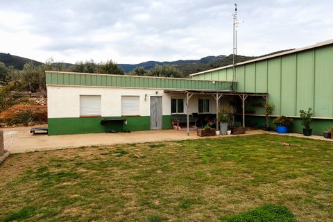 Villa a Amposta, Tarragona, Amposta - € 600.000 | Ref: 3774FZ/6931 - foto 2