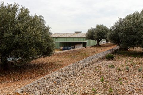 Villa a Amposta, Tarragona, Amposta - € 600.000 | Ref: 3774FZ/6931 - foto 11
