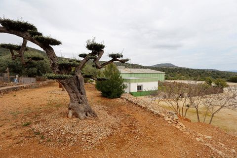 Villa a Amposta, Tarragona, Amposta - € 600.000 | Ref: 3774FZ/6931 - foto 16