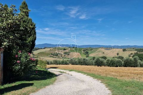 Landejendom i Cortona, Arezzo, Cortona - € 1.620.000 | Ref: DIC.12006 - foto 5