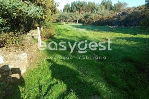 Helårsgrund i Castelo Branco, Castelo Branco, Castelo Branco - € 135.000 | Ref: CB93891MA - foto 1