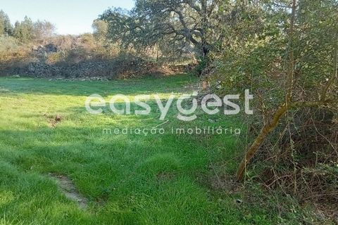 Helårsgrund i Castelo Branco, Castelo Branco, Castelo Branco - € 135.000 | Ref: CB93891MA - foto 2