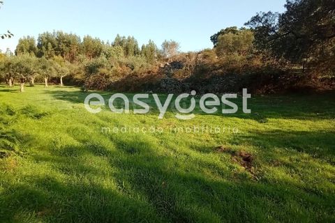 Helårsgrund i Castelo Branco, Castelo Branco, Castelo Branco - € 135.000 | Ref: CB93891MA - foto 3