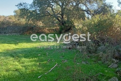 Helårsgrund i Castelo Branco, Castelo Branco, Castelo Branco - € 135.000 | Ref: CB93891MA - foto 4