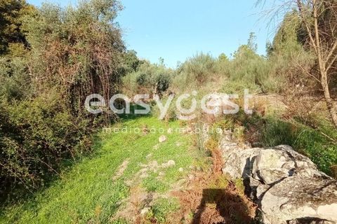 Helårsgrund i Castelo Branco, Castelo Branco, Castelo Branco - € 135.000 | Ref: CB93891MA - foto 5