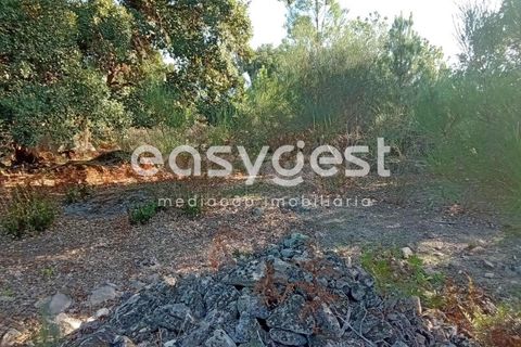 Helårsgrund i Castelo Branco, Castelo Branco, Castelo Branco - € 135.000 | Ref: CB93891MA - foto 6