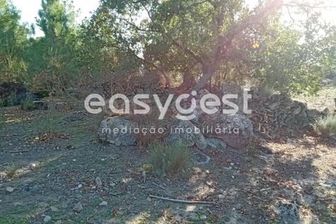 Helårsgrund i Castelo Branco, Castelo Branco, Castelo Branco - € 135.000 | Ref: CB93891MA - foto 7