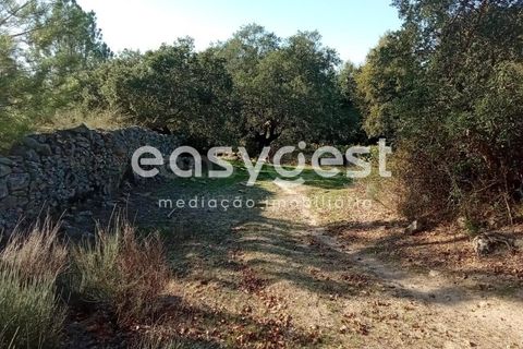 Helårsgrund i Castelo Branco, Castelo Branco, Castelo Branco - € 135.000 | Ref: CB93891MA - foto 8