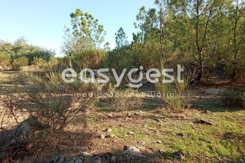 Helårsgrund i Castelo Branco, Castelo Branco, Castelo Branco - € 135.000 | Ref: CB93891MA - foto 9