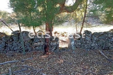 Helårsgrund i Castelo Branco, Castelo Branco, Castelo Branco - € 135.000 | Ref: CB93891MA - foto 10