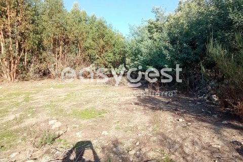 Helårsgrund i Castelo Branco, Castelo Branco, Castelo Branco - € 135.000 | Ref: CB93891MA - foto 11