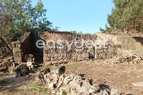Helårsgrund i Castelo Branco, Castelo Branco, Castelo Branco - € 135.000 | Ref: CB93891MA - foto 12