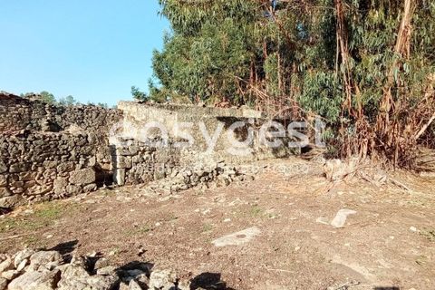 Helårsgrund i Castelo Branco, Castelo Branco, Castelo Branco - € 135.000 | Ref: CB93891MA - foto 13