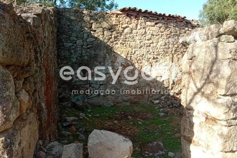 Helårsgrund i Castelo Branco, Castelo Branco, Castelo Branco - € 135.000 | Ref: CB93891MA - foto 14