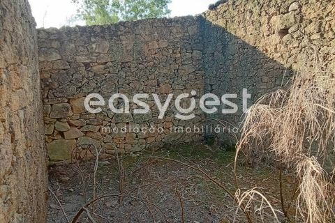 Helårsgrund i Castelo Branco, Castelo Branco, Castelo Branco - € 135.000 | Ref: CB93891MA - foto 15