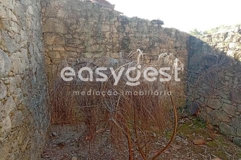 Helårsgrund i Castelo Branco, Castelo Branco, Castelo Branco - € 135.000 | Ref: CB93891MA - foto 17