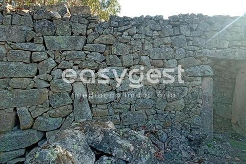 Helårsgrund i Castelo Branco, Castelo Branco, Castelo Branco - € 135.000 | Ref: CB93891MA - foto 21