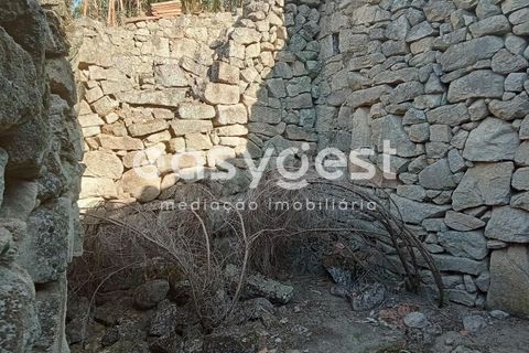 Helårsgrund i Castelo Branco, Castelo Branco, Castelo Branco - € 135.000 | Ref: CB93891MA - foto 22