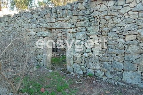 Helårsgrund i Castelo Branco, Castelo Branco, Castelo Branco - € 135.000 | Ref: CB93891MA - foto 24