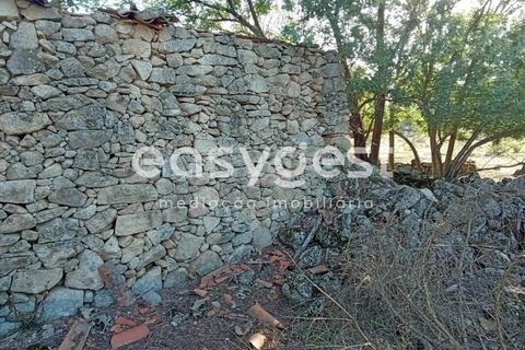 Helårsgrund i Castelo Branco, Castelo Branco, Castelo Branco - € 135.000 | Ref: CB93891MA - foto 25
