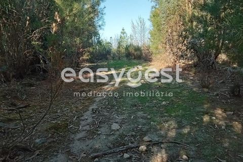 Helårsgrund i Castelo Branco, Castelo Branco, Castelo Branco - € 135.000 | Ref: CB93891MA - foto 26