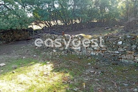 Helårsgrund i Castelo Branco, Castelo Branco, Castelo Branco - € 135.000 | Ref: CB93891MA - foto 27